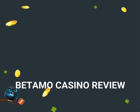 betamo casino review